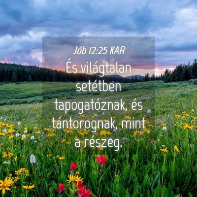 Picture 04 - Jób 12:25 KAR - És világtalan setétben tapogatóznak, és - Bible Verse Picture