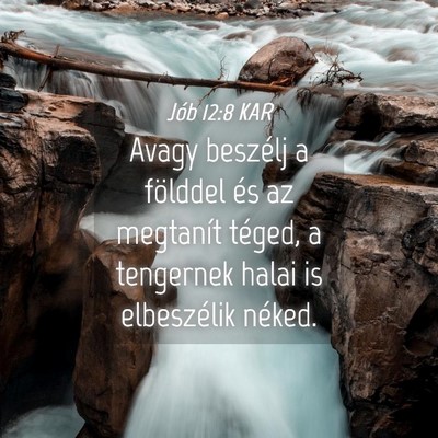 Picture 04 - Jób 12:8 KAR - Avagy beszélj a földdel és az megtanít - Bible Verse Picture