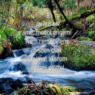 Picture 04 - Jób 13:15 KAR - Ímé, megöl engem! Nem reménylem; hiszen csak - Bible Verse Picture