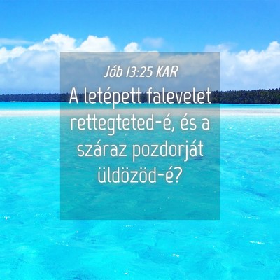 Picture 04 - Jób 13:25 KAR - A letépett falevelet rettegteted-é, és a - Bible Verse Picture