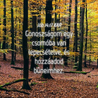 Picture 04 - Jób 14:17 KAR - Gonoszságom egy csomóba van lepecsételve, és - Bible Verse Picture