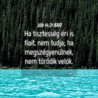 Picture 04 - Jób 14:21 KAR - Ha tisztesség éri is fiait, nem tudja; ha - Bible Verse Picture