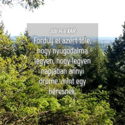 Picture 04 - Jób 14:6 KAR - Fordulj el azért tõle, hogy nyugodalma legyen, - Bible Verse Picture