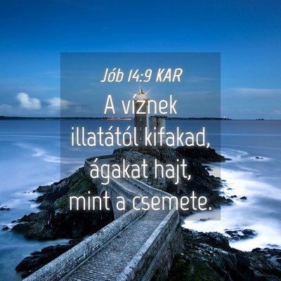 Picture 04 - Jób 14:9 KAR - A víznek illatától kifakad, ágakat hajt, mint - Bible Verse Picture