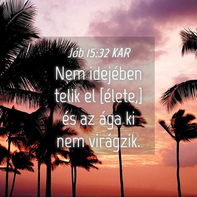 Picture 04 - Jób 15:32 KAR - Nem idejében telik el [élete,] és az ága ki - Bible Verse Picture