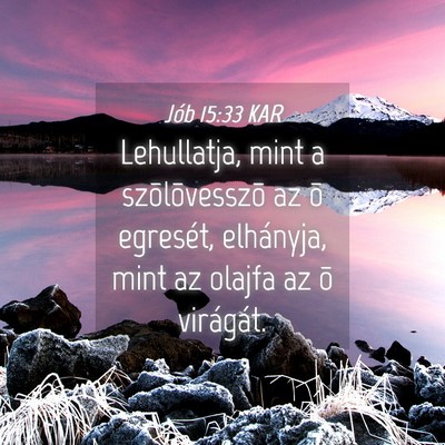Picture 04 - Jób 15:33 KAR - Lehullatja, mint a szõlõvesszõ az õ egresét, - Bible Verse Picture