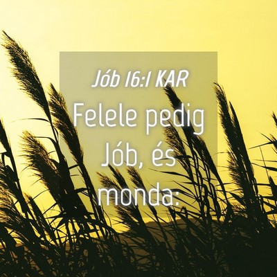 Picture 04 - Jób 16:1 KAR - Felele pedig Jób, és - Bible Verse Picture