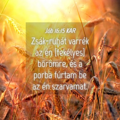 Picture 04 - Jób 16:15 KAR - Zsák-ruhát varrék az én [fekélyes] - Bible Verse Picture