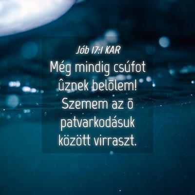 Picture 04 - Jób 17:1 KAR - Még mindig csúfot ûznek belõlem! Szemem az õ - Bible Verse Picture