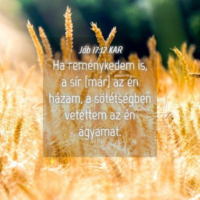 Picture 04 - Jób 17:12 KAR - Ha reménykedem is, a sír [már] az én házam, - Bible Verse Picture
