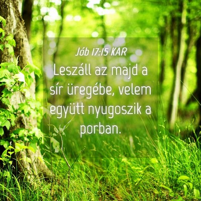 Picture 04 - Jób 17:15 KAR - Leszáll az majd a sír üregébe, velem együtt - Bible Verse Picture