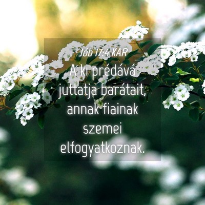 Picture 04 - Jób 17:4 KAR - A ki prédává juttatja barátait, annak fiainak - Bible Verse Picture