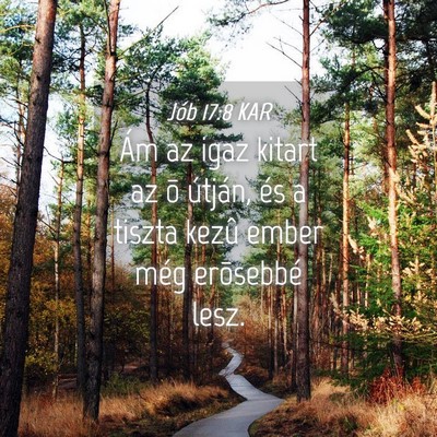 Picture 04 - Jób 17:8 KAR - Ám az igaz kitart az õ útján, és a tiszta - Bible Verse Picture