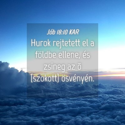 Picture 04 - Jób 18:10 KAR - Hurok rejtetett el a földbe ellene, és zsineg - Bible Verse Picture