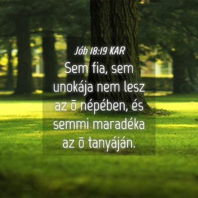 Picture 04 - Jób 18:19 KAR - Sem fia, sem unokája nem lesz az õ népében, - Bible Verse Picture