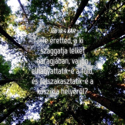 Picture 04 - Jób 18:4 KAR - Te éretted, a ki szaggatja lelkét haragjában, - Bible Verse Picture