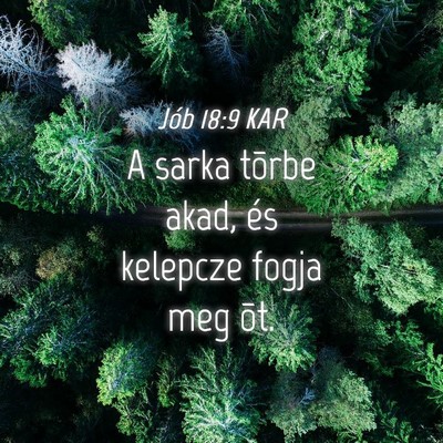 Picture 04 - Jób 18:9 KAR - A sarka tõrbe akad, és kelepcze fogja meg - Bible Verse Picture
