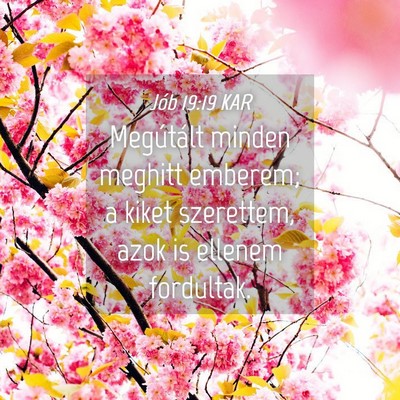Picture 04 - Jób 19:19 KAR - Megútált minden meghitt emberem; a kiket - Bible Verse Picture
