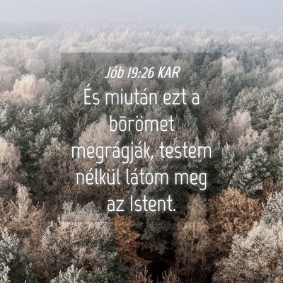 Picture 04 - Jób 19:26 KAR - És miután ezt a bõrömet megrágják, testem - Bible Verse Picture