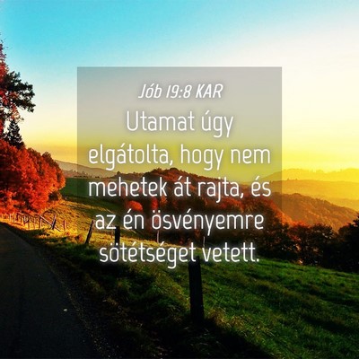 Picture 04 - Jób 19:8 KAR - Utamat úgy elgátolta, hogy nem mehetek át - Bible Verse Picture