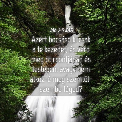 Picture 04 - Jób 2:5 KAR - Azért bocsásd ki csak a te kezedet, és verd - Bible Verse Picture