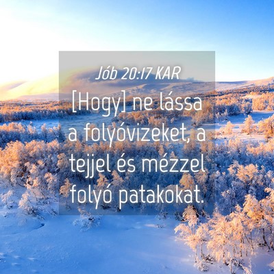 Picture 04 - Jób 20:17 KAR - [Hogy] ne lássa a folyóvizeket, a tejjel és - Bible Verse Picture