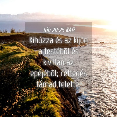 Picture 04 - Jób 20:25 KAR - Kihúzza és az kijön a testébõl és kivillan - Bible Verse Picture