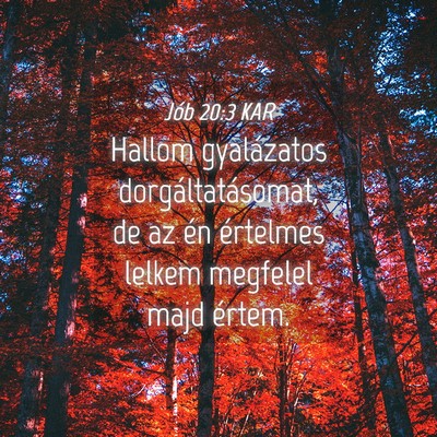 Picture 04 - Jób 20:3 KAR - Hallom gyalázatos dorgáltatásomat, de az én - Bible Verse Picture