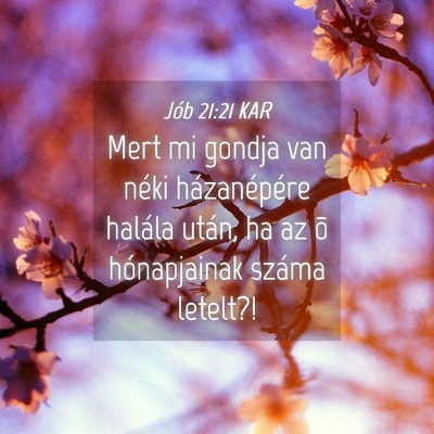 Picture 04 - Jób 21:21 KAR - Mert mi gondja van néki házanépére halála - Bible Verse Picture