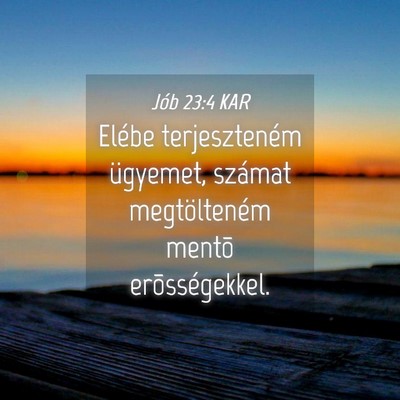 Picture 04 - Jób 23:4 KAR - Elébe terjeszteném ügyemet, számat - Bible Verse Picture