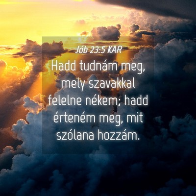 Picture 04 - Jób 23:5 KAR - Hadd tudnám meg, mely szavakkal felelne nékem; - Bible Verse Picture