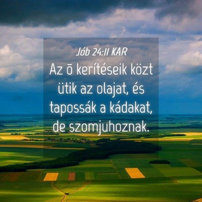 Picture 04 - Jób 24:11 KAR - Az õ kerítéseik közt ütik az olajat, és - Bible Verse Picture