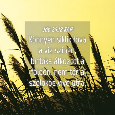 Picture 04 - Jób 24:18 KAR - Könnyen siklik tova a víz színén, birtoka - Bible Verse Picture