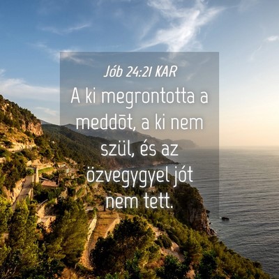Picture 04 - Jób 24:21 KAR - A ki megrontotta a meddõt, a ki nem szül, és - Bible Verse Picture