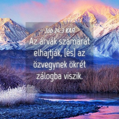 Picture 04 - Jób 24:3 KAR - Az árvák szamarát elhajtják, [és] az - Bible Verse Picture
