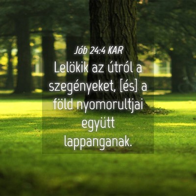 Picture 04 - Jób 24:4 KAR - Lelökik az útról a szegényeket, [és] a föld - Bible Verse Picture