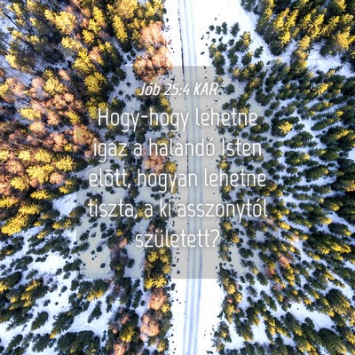 Picture 04 - Jób 25:4 KAR - Hogy-hogy lehetne igaz a halandó Isten elõtt, - Bible Verse Picture