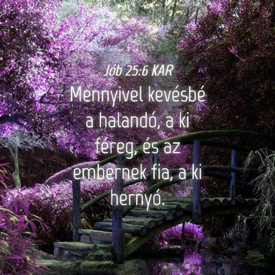 Picture 04 - Jób 25:6 KAR - Mennyivel kevésbé a halandó, a ki féreg, és - Bible Verse Picture