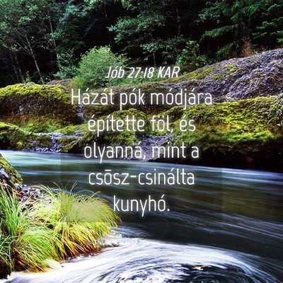 Picture 04 - Jób 27:18 KAR - Házát pók módjára építette föl, és - Bible Verse Picture