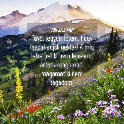 Picture 04 - Jób 27:5 KAR - Távol legyen tõlem, hogy igazat adjak néktek! - Bible Verse Picture