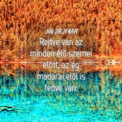 Picture 04 - Jób 28:21 KAR - Rejtve van az minden élõ szemei elõtt, az ég - Bible Verse Picture