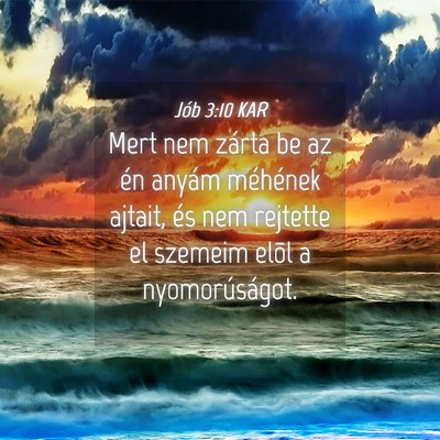 Picture 04 - Jób 3:10 KAR - Mert nem zárta be az én anyám méhének - Bible Verse Picture