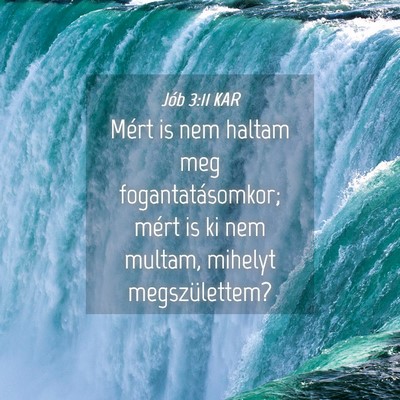 Picture 04 - Jób 3:11 KAR - Mért is nem haltam meg fogantatásomkor; mért - Bible Verse Picture