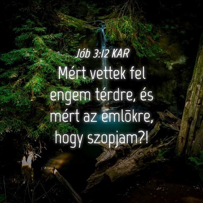 Picture 04 - Jób 3:12 KAR - Mért vettek fel engem térdre, és mért az - Bible Verse Picture