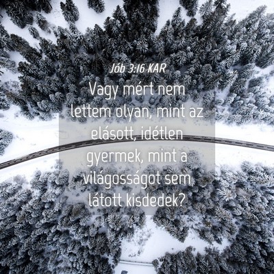 Picture 04 - Jób 3:16 KAR - Vagy mért nem lettem olyan, mint az elásott, - Bible Verse Picture