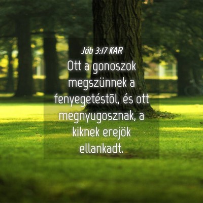 Picture 04 - Jób 3:17 KAR - Ott a gonoszok megszünnek a fenyegetéstõl, és - Bible Verse Picture
