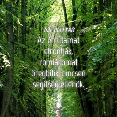 Picture 04 - Jób 30:13 KAR - Az én útamat elrontják, romlásomat - Bible Verse Picture