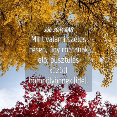 Picture 04 - Jób 30:14 KAR - Mint valami széles résen, úgy rontanak elõ, - Bible Verse Picture