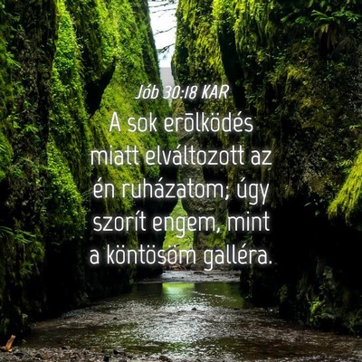 Picture 04 - Jób 30:18 KAR - A sok erõlködés miatt elváltozott az én - Bible Verse Picture