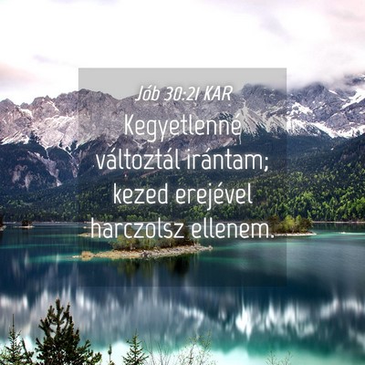 Picture 04 - Jób 30:21 KAR - Kegyetlenné változtál irántam; kezed - Bible Verse Picture